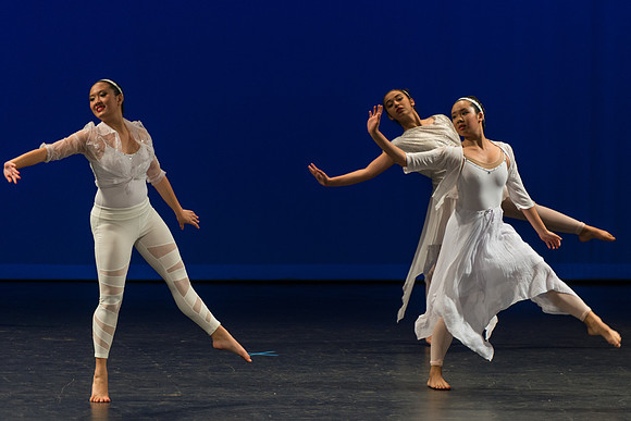 PagePerf-491