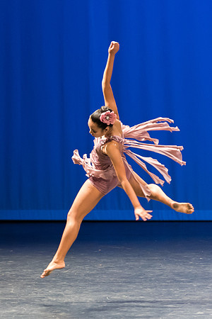 PagePerf-3363