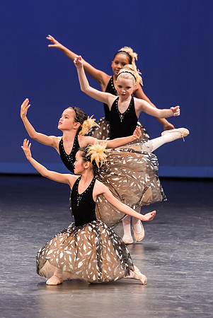 PagePerf-4348