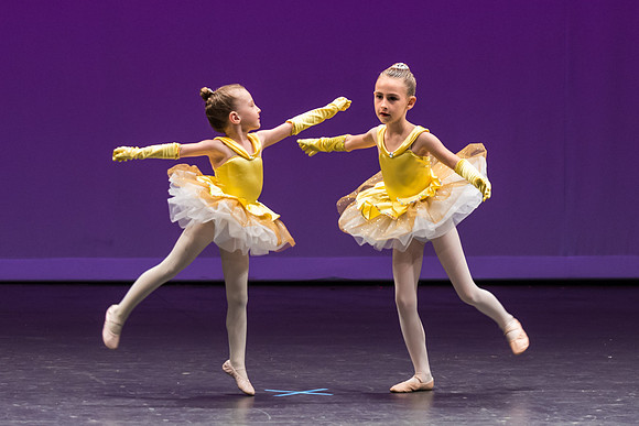 PagePerf-219