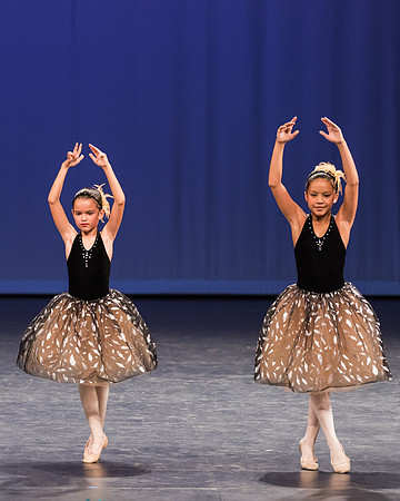 PagePerf-4405