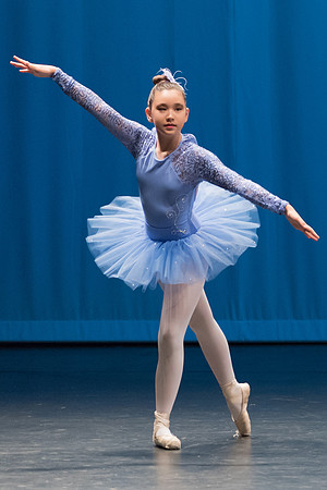 PagePerf-3585