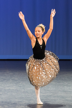 PagePerf-3528