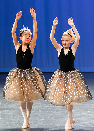 PagePerf-3536
