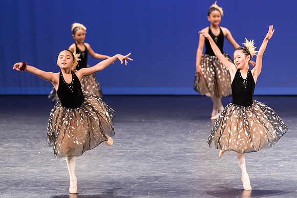 PagePerf-4368