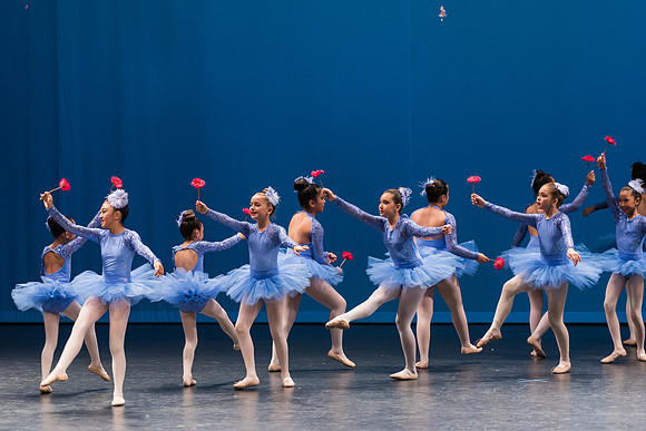 PagePerf-4451