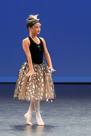 PagePerf-3471